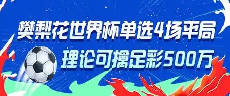 女将樊梨花神算世界杯平局 四场全中引爆足彩投注热潮
